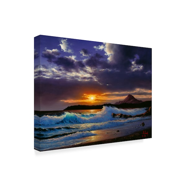 Anthony Casay 'Coast Line 5' Canvas Art,14x19